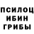 Галлюциногенные грибы Psilocybine cubensis Mr. Morent