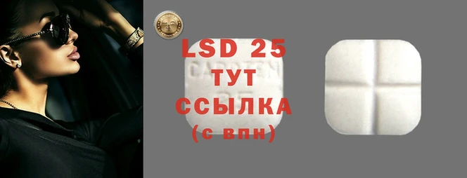 винт Наволоки