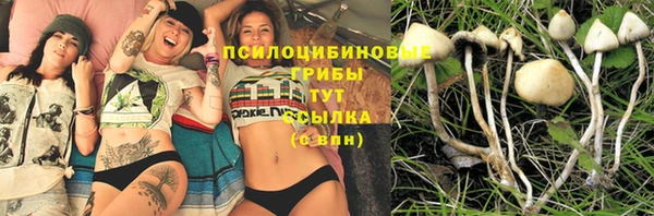 винт Наволоки